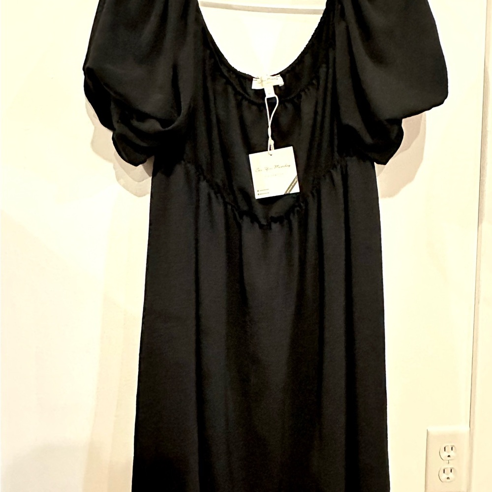Elegant Black Puff Sleeve Dress